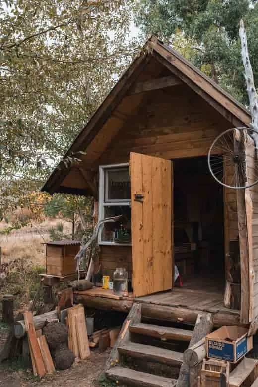 Can You Build a Cabin on Public Land?