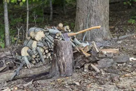 Splitting Axe and Pile of chopped wood
