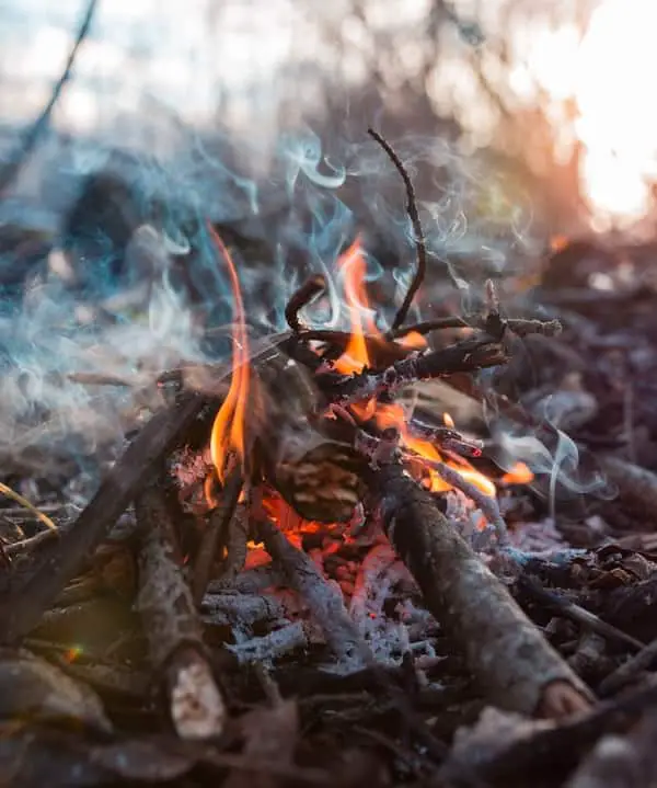 Does a Campfire Keep Mosquitoes Away?