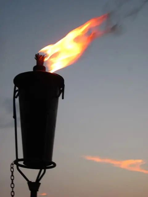 Does Thermacell Work On Flies? Tiki Torch creates smoke to deter insects.