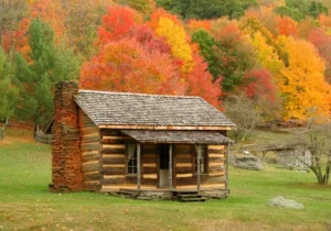 Building A Log Cabin With Green Logs