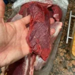Is it Safe to Eat Raw Venison?