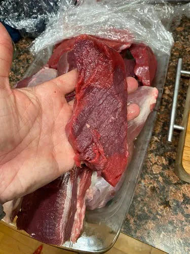 Is it Safe to Eat Raw Venison?
