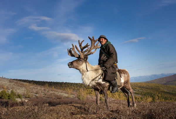 Mongolian riding a reindeer