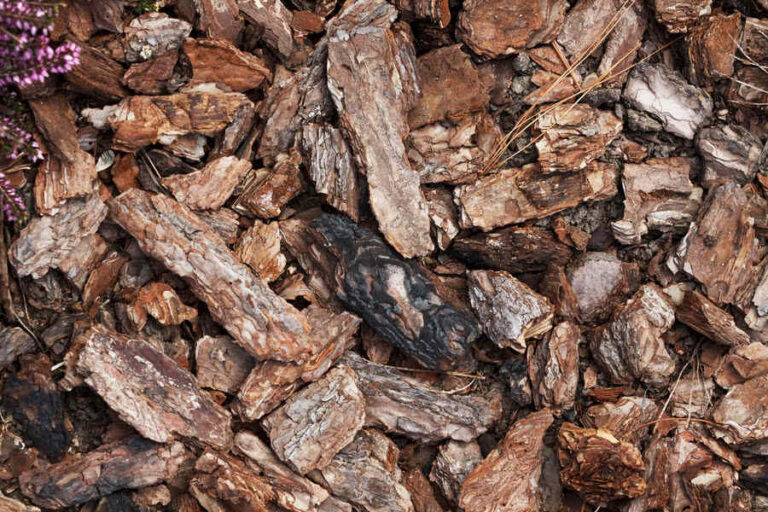 Is It Okay To Burn Bark In a Wood Stove? • Outdoors Mecca